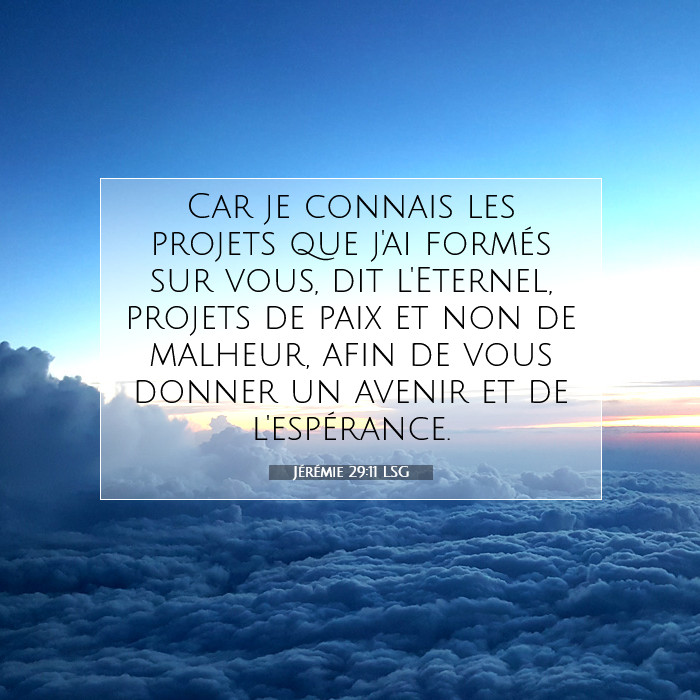 Jérémie 29:11 Commentaire Biblique