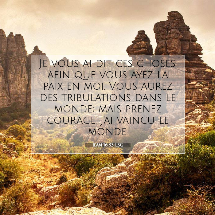 Jean 16:33 Commentaire Biblique