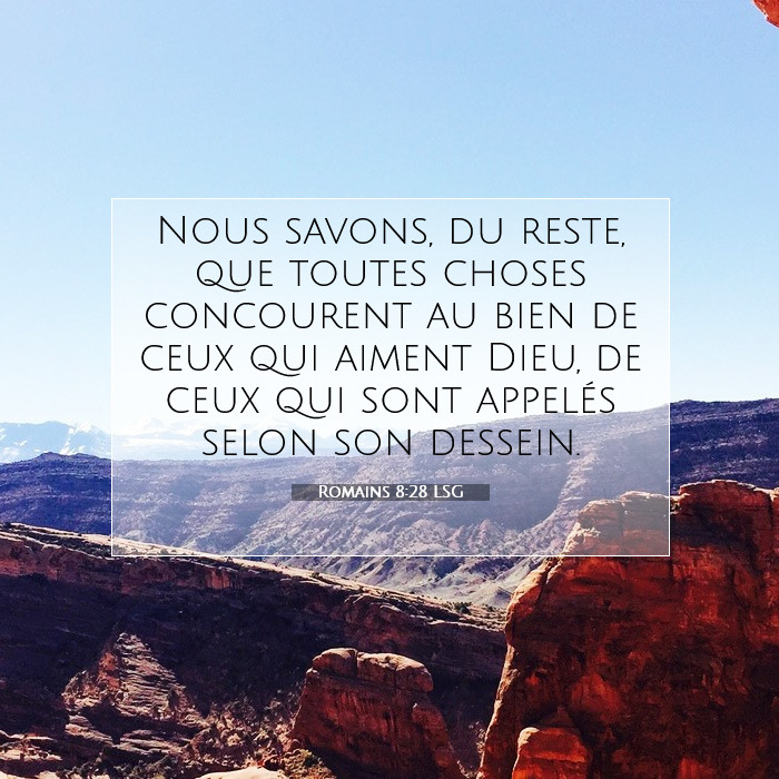 Romains 8:28 Commentaire Biblique