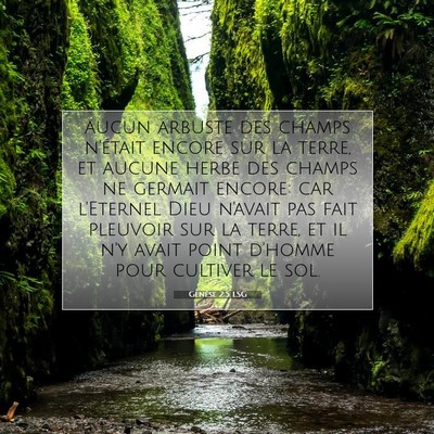 Genèse 2:5 Verset biblique expliqué