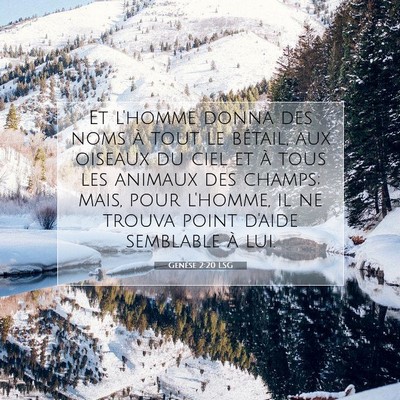 Genèse 2:20 LSG Image du verset biblique