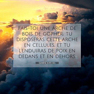 Genèse 6:14 Verset biblique expliqué