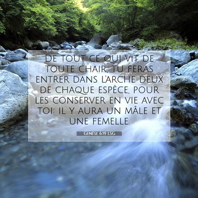 Genèse 6:19 Verset biblique expliqué