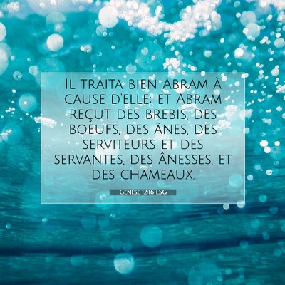 Genèse 12:16 LSG Image du verset biblique