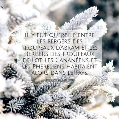 Genèse 13:7 LSG Image du verset biblique