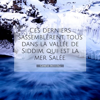 Genèse 14:3 LSG Image du verset biblique