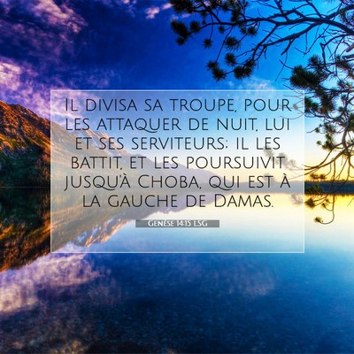 Genèse 14:15 LSG Image du verset biblique