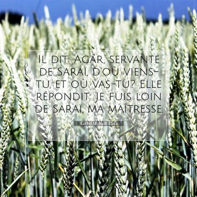 Genèse 16:8 LSG Image du verset biblique