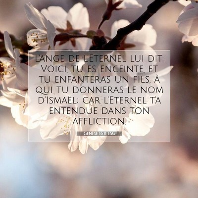 Genèse 16:11 LSG Image du verset biblique