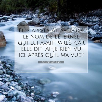 Genèse 16:13 LSG Image du verset biblique