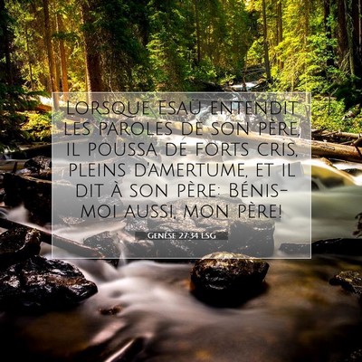 Genèse 27:34 LSG Image du verset biblique