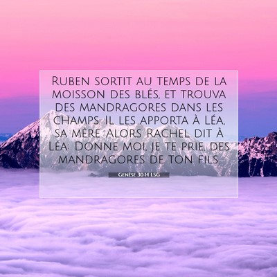 Genèse 30:14 Verset biblique expliqué