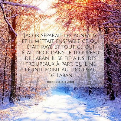 Genèse 30:40 Verset biblique expliqué