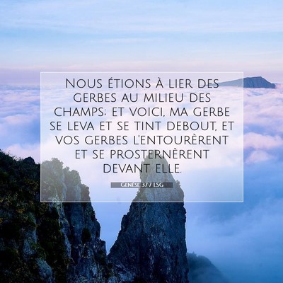 Genèse 37:7 LSG Image du verset biblique