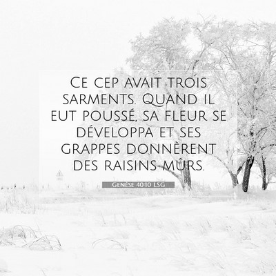 Genèse 40:10 LSG Image du verset biblique