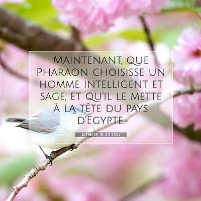 Genèse 41:33 Verset biblique expliqué