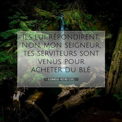 Genèse 42:10 Verset biblique expliqué