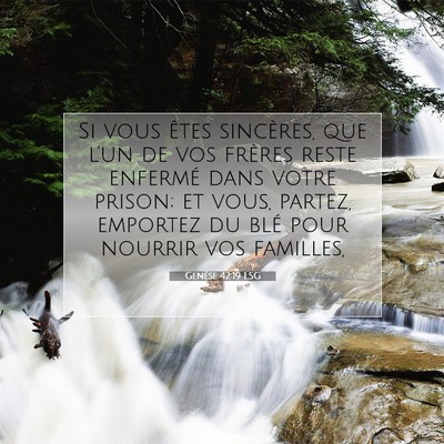 Genèse 42:19 LSG Image du verset biblique