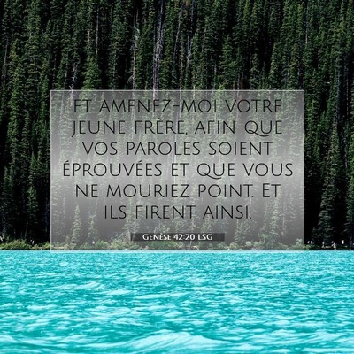 Genèse 42:20 LSG Image du verset biblique