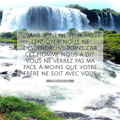 Genèse 43:5 LSG Image du verset biblique