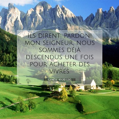 Genèse 43:20 LSG Image du verset biblique