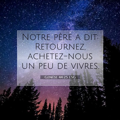 Genèse 44:25 Verset biblique expliqué