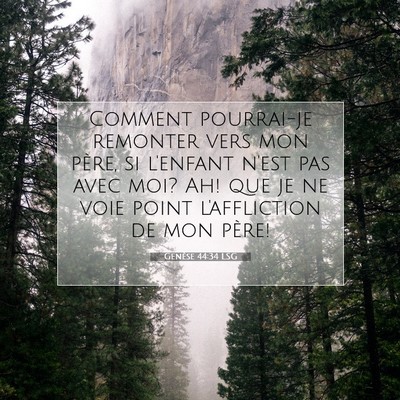 Genèse 44:34 Verset biblique expliqué