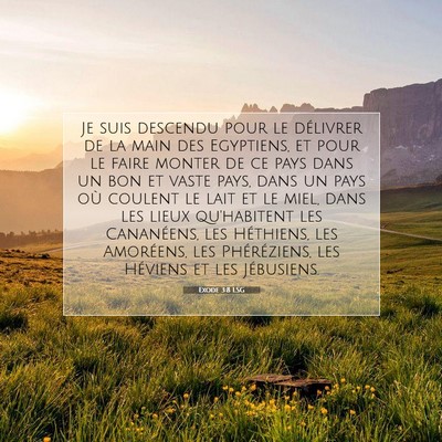 Exode 3:8 LSG Image du verset biblique