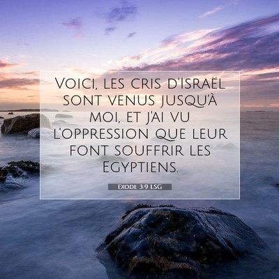 Exode 3:9 LSG Image du verset biblique