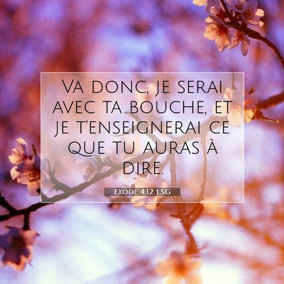 Exode 4:12 LSG Image du verset biblique