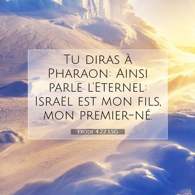 Exode 4:22 LSG Image du verset biblique