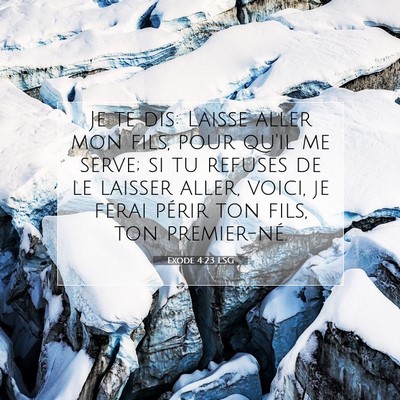 Exode 4:23 LSG Image du verset biblique