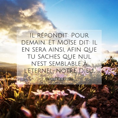 Exode 8:10 LSG Image du verset biblique