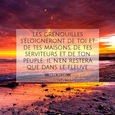 Exode 8:11 Verset biblique expliqué