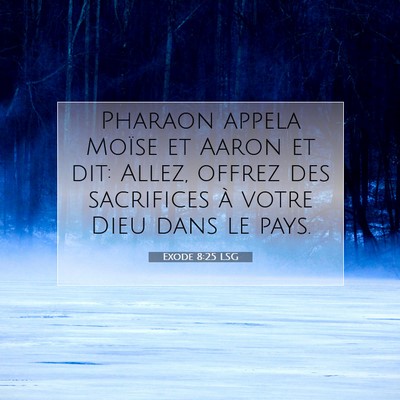 Exode 8:25 Verset biblique expliqué