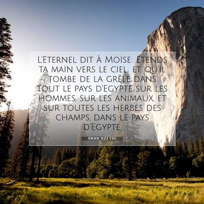 Exode 9:22 LSG Image du verset biblique