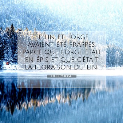 Exode 9:31 LSG Image du verset biblique