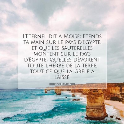 Exode 10:12 LSG Image du verset biblique