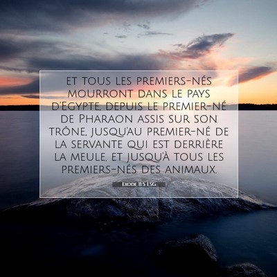 Exode 11:5 Verset biblique expliqué