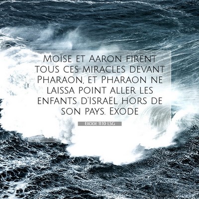 Exode 11:10 LSG Image du verset biblique