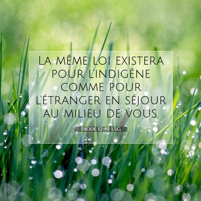 Exode 12:49 LSG Image du verset biblique