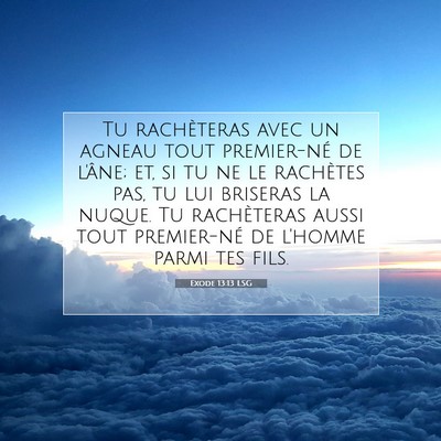 Exode 13:13 LSG Image du verset biblique