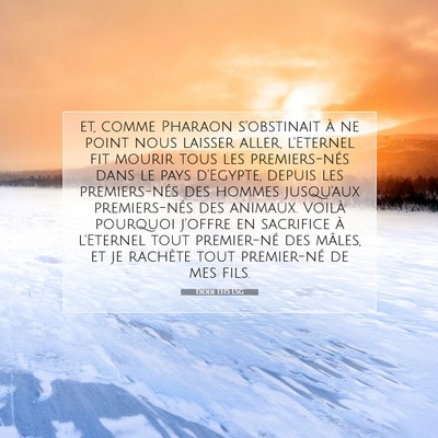 Exode 13:15 LSG Image du verset biblique