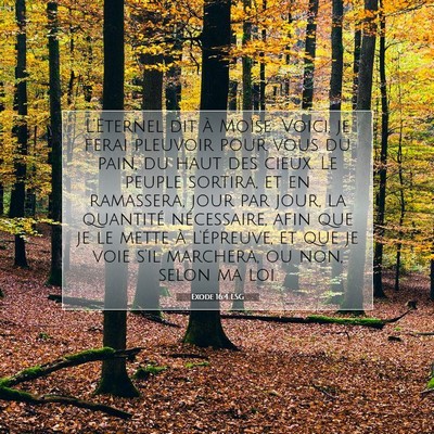 Exode 16:4 Verset biblique expliqué