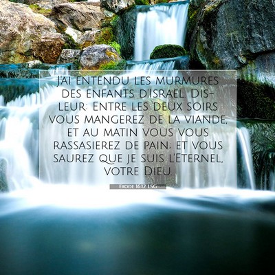 Exode 16:12 LSG Image du verset biblique