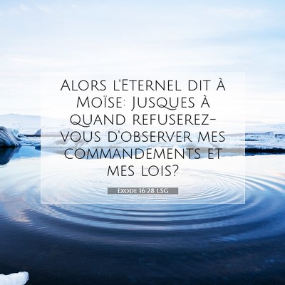 Exode 16:28 LSG Image du verset biblique