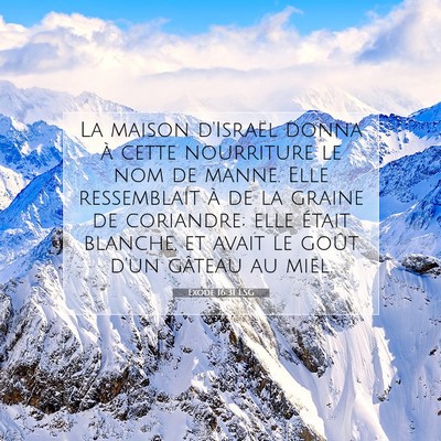 Exode 16:31 LSG Image du verset biblique