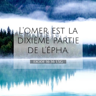 Exode 16:36 LSG Image du verset biblique