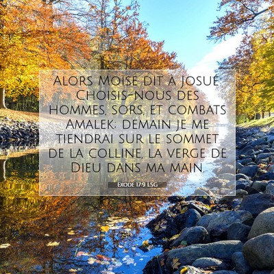 Exode 17:9 LSG Image du verset biblique