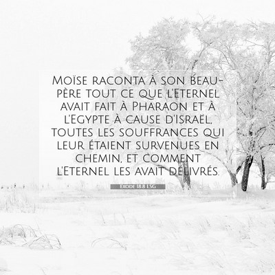 Exode 18:8 LSG Image du verset biblique